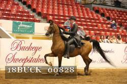 18BUCK_00828 proof