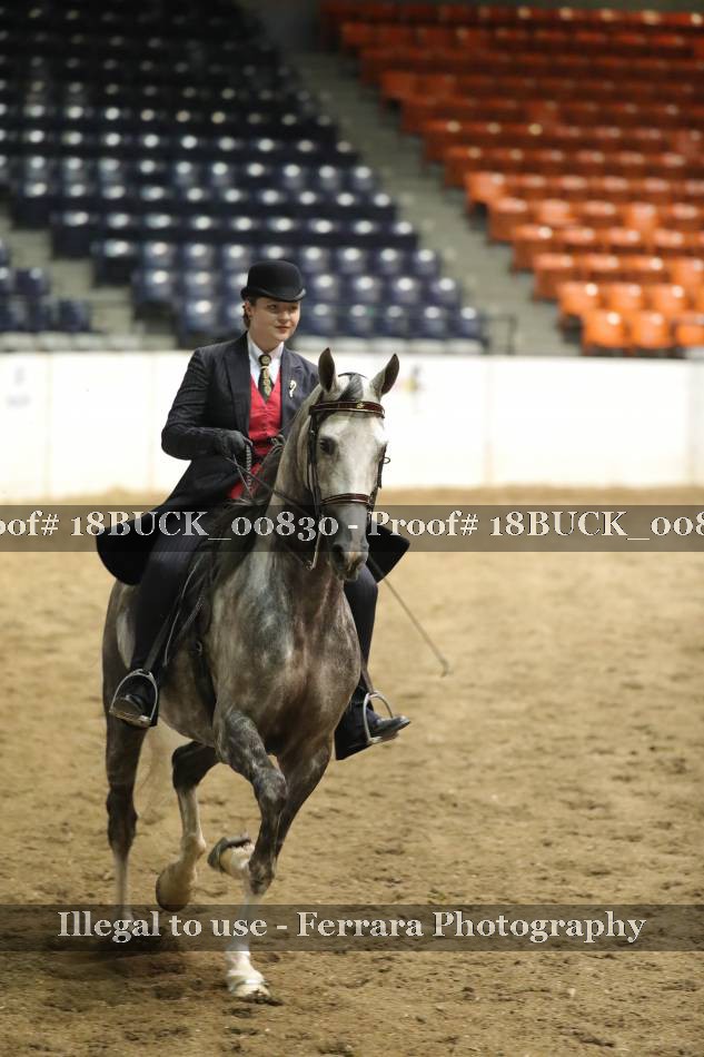 Proof 18BUCK_00830