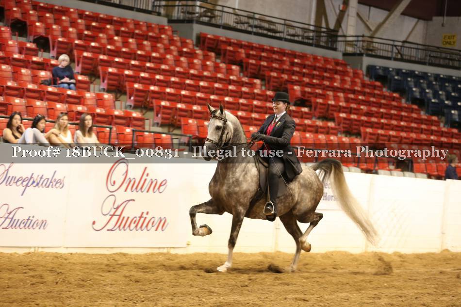 Proof 18BUCK_00831