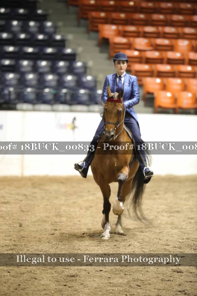 Proof 18BUCK_00833