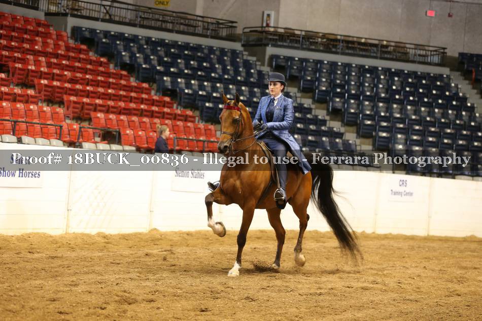 Proof 18BUCK_00836