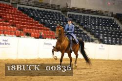 18BUCK_00836 proof