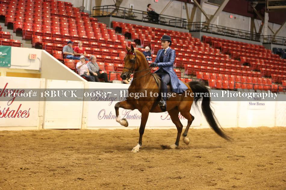 Proof 18BUCK_00837