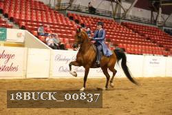 18BUCK_00837 proof