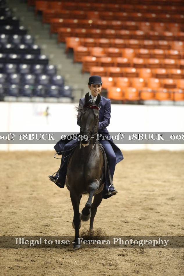 Proof 18BUCK_00839