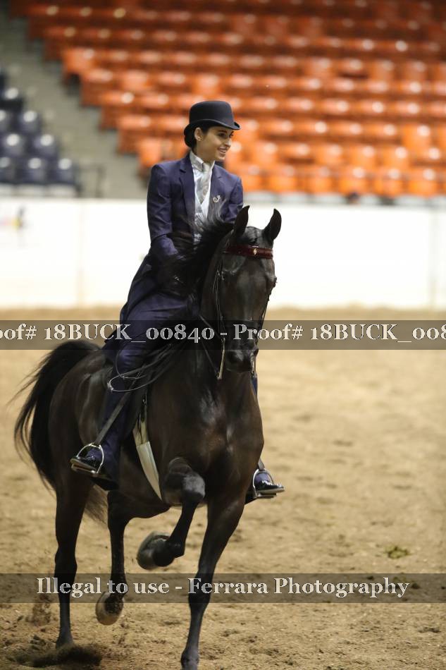 Proof 18BUCK_00840