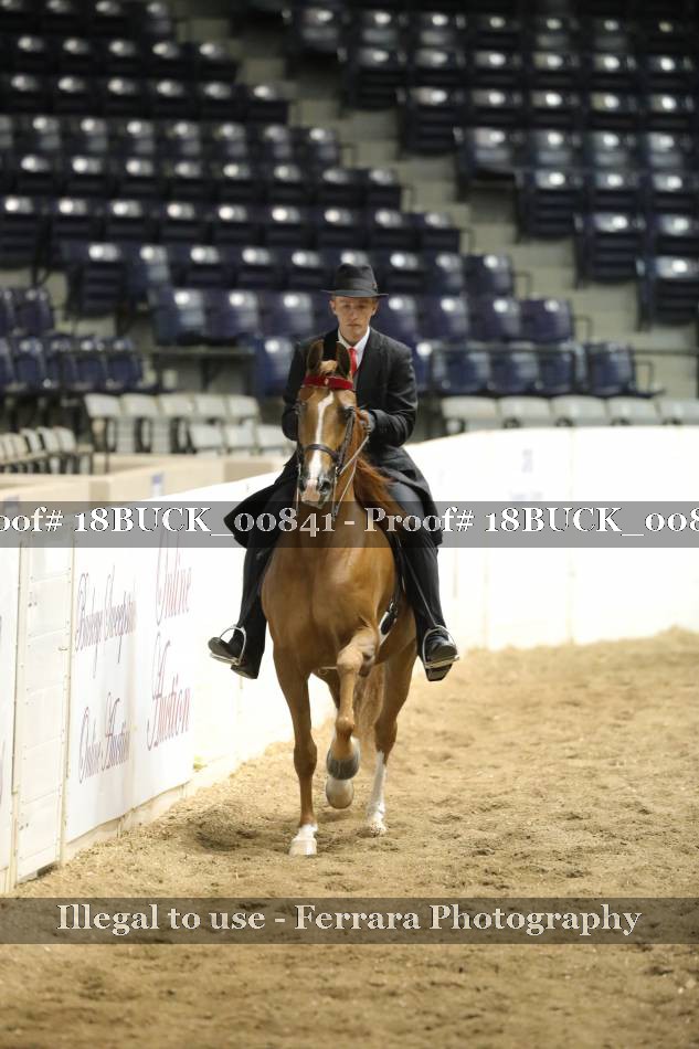 Proof 18BUCK_00841