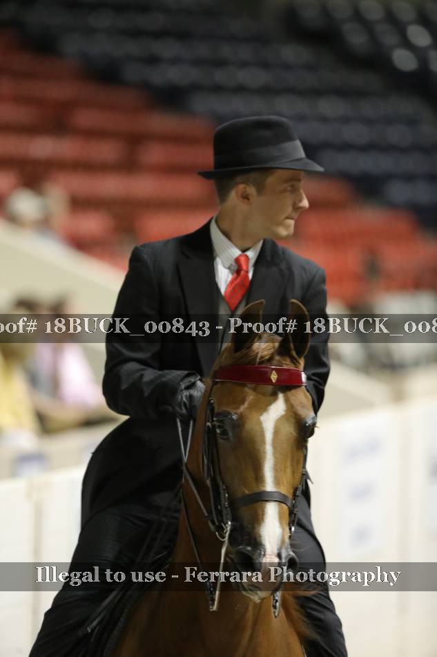 Proof 18BUCK_00843