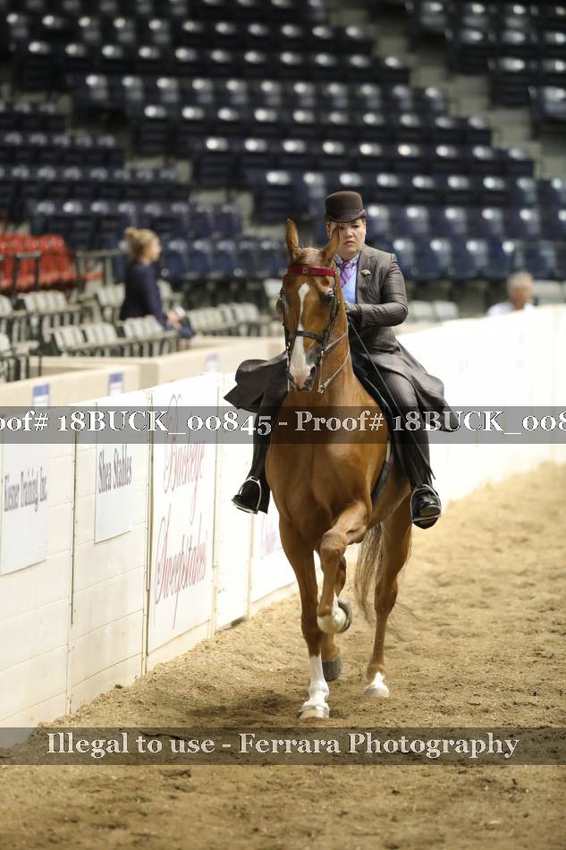 Proof 18BUCK_00845