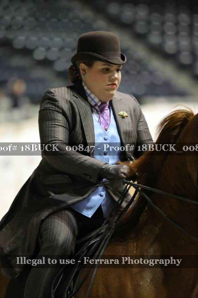 Proof 18BUCK_00847