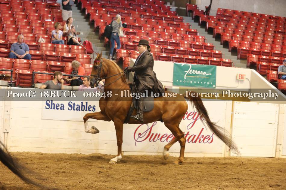 Proof 18BUCK_00848