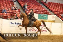 18BUCK_00848 proof