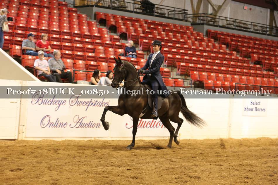 Proof 18BUCK_00850