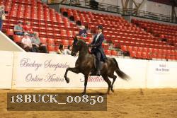 18BUCK_00850 proof