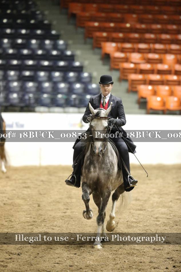 Proof 18BUCK_00853