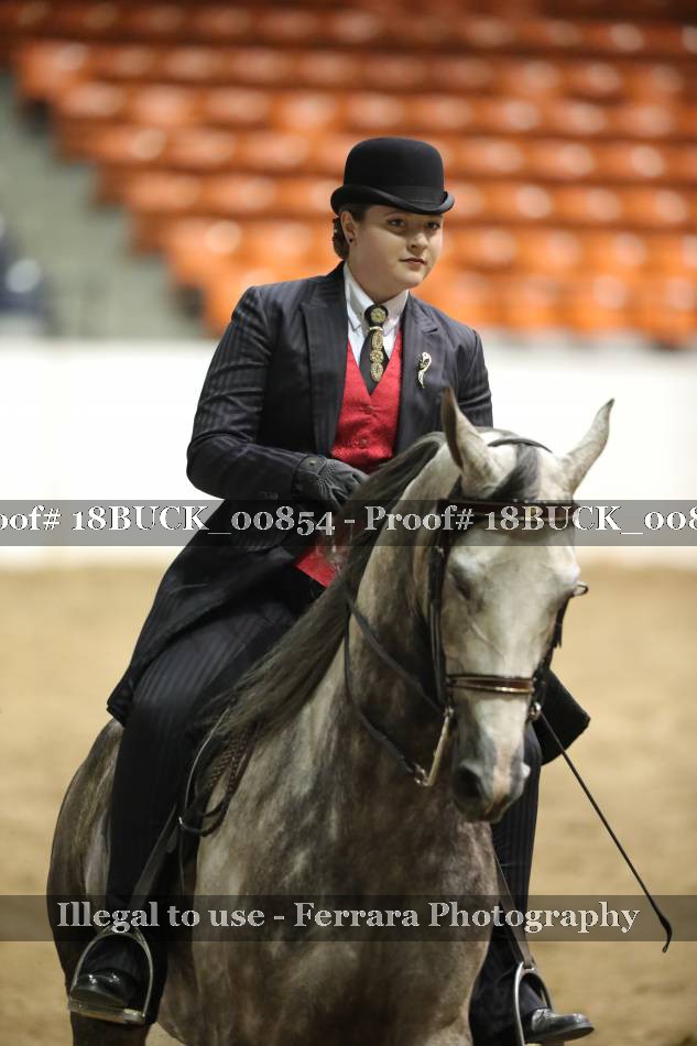 Proof 18BUCK_00854