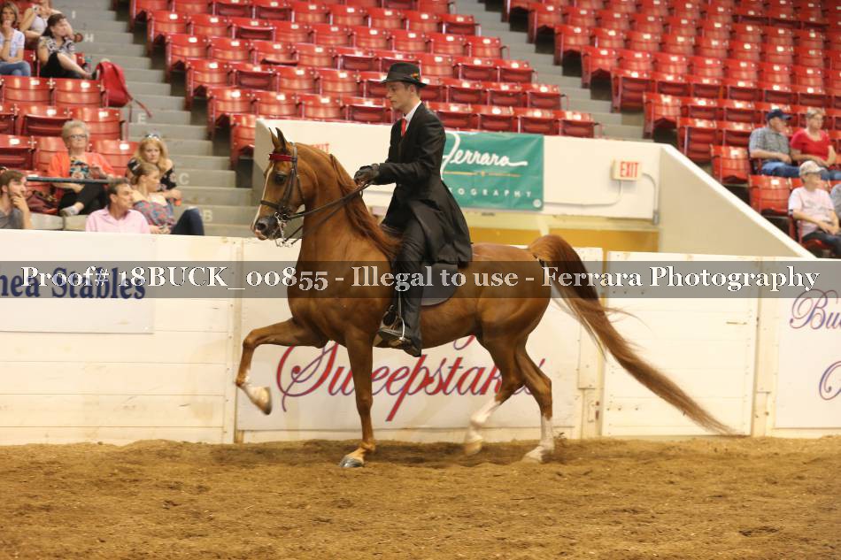 Proof 18BUCK_00855