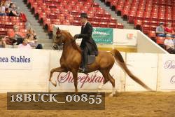 18BUCK_00855 proof