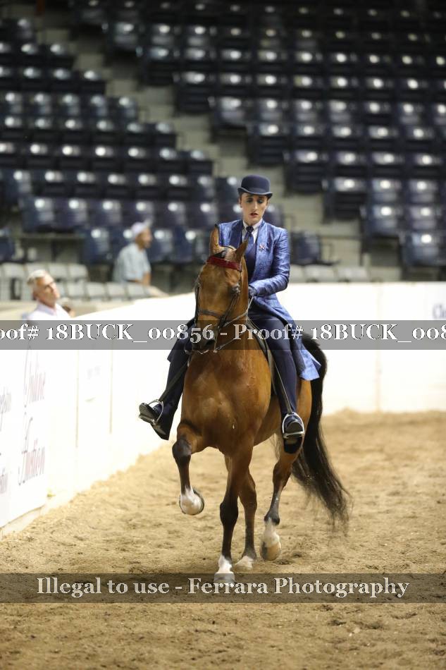 Proof 18BUCK_00856