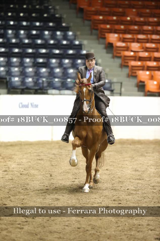 Proof 18BUCK_00857