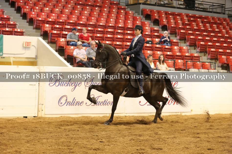 Proof 18BUCK_00858