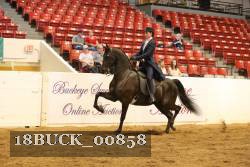 18BUCK_00858 proof