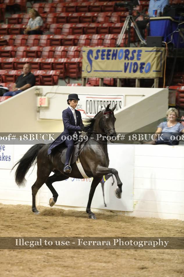 Proof 18BUCK_00859