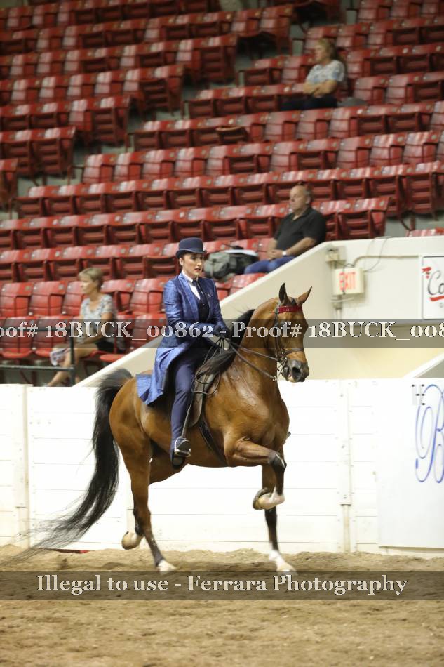 Proof 18BUCK_00862