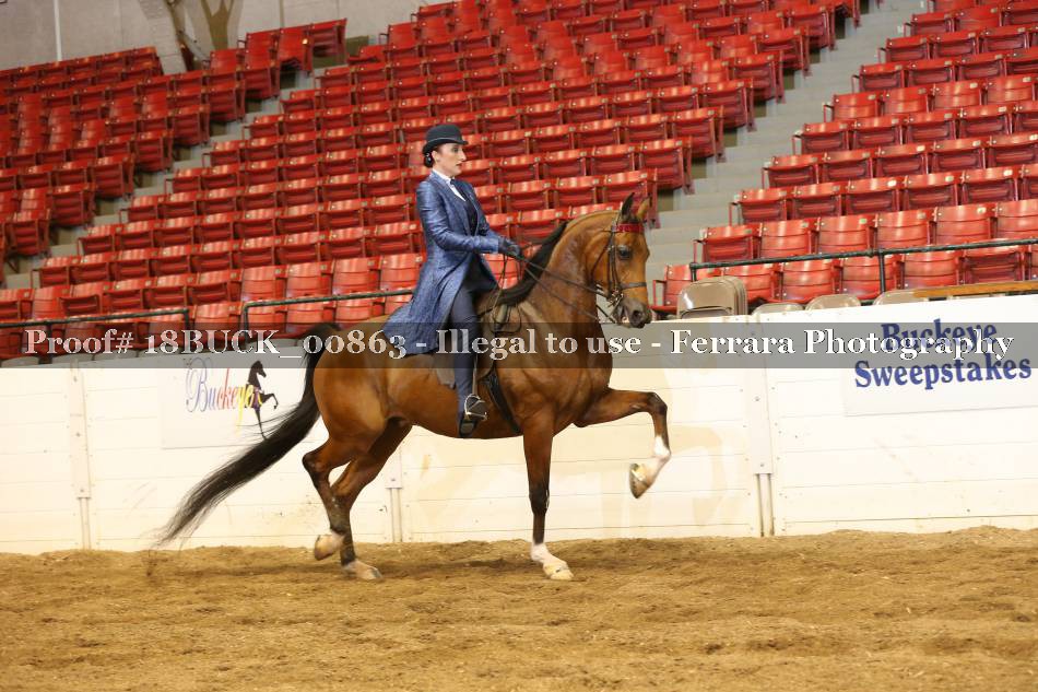 Proof 18BUCK_00863