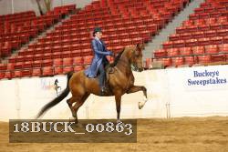 18BUCK_00863 proof