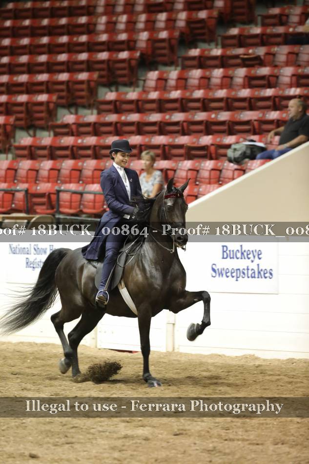 Proof 18BUCK_00864