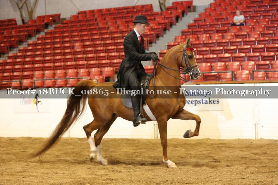 Proof 18BUCK_00865
