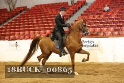 18BUCK_00865 proof