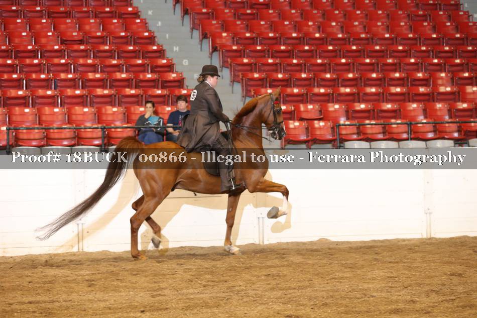 Proof 18BUCK_00866