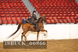 18BUCK_00866 proof