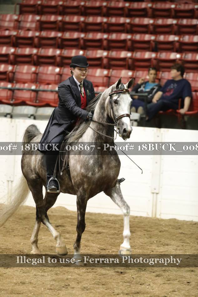 Proof 18BUCK_00867