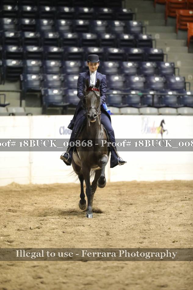 Proof 18BUCK_00868