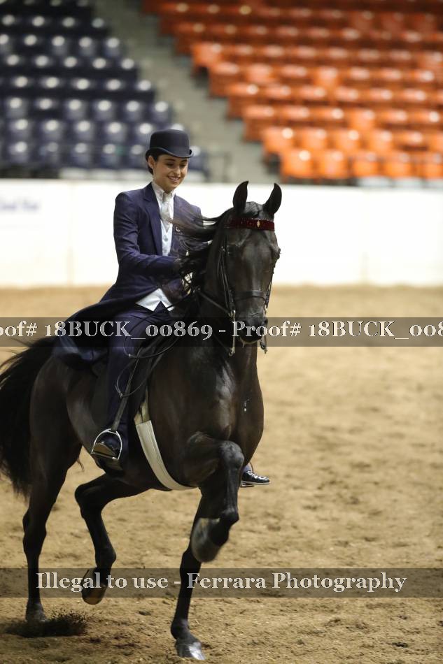 Proof 18BUCK_00869