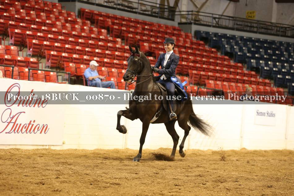 Proof 18BUCK_00870