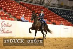 18BUCK_00870 proof