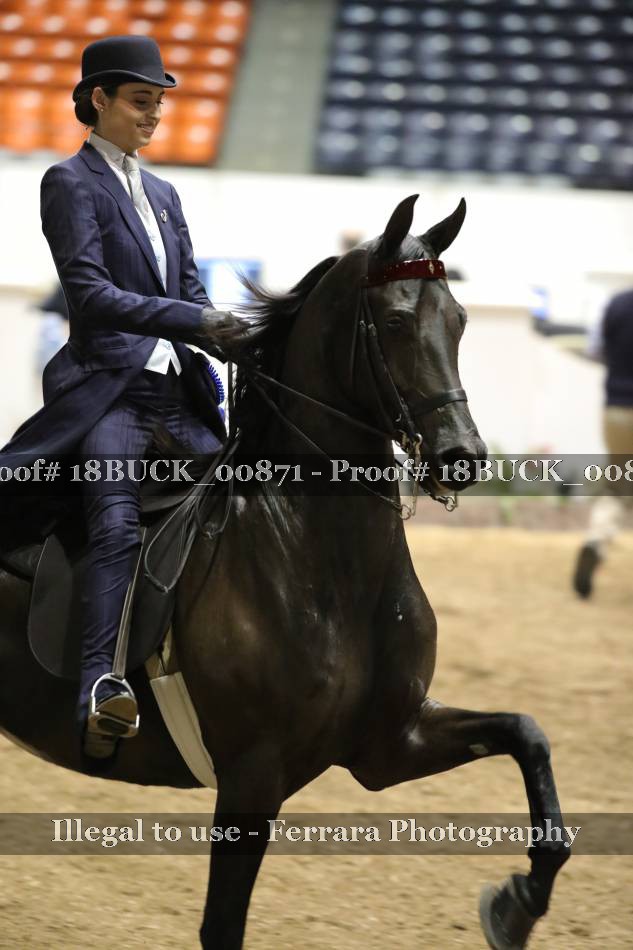 Proof 18BUCK_00871