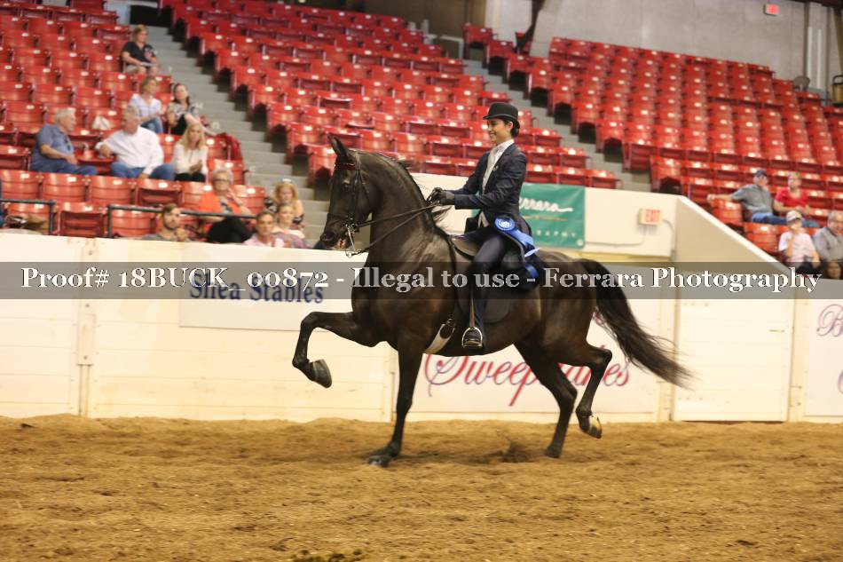 Proof 18BUCK_00872