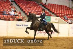 18BUCK_00872 proof