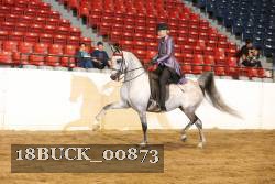 18BUCK_00873 proof