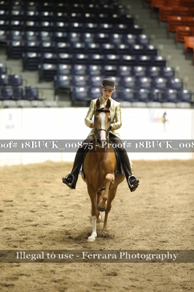 Proof 18BUCK_00875