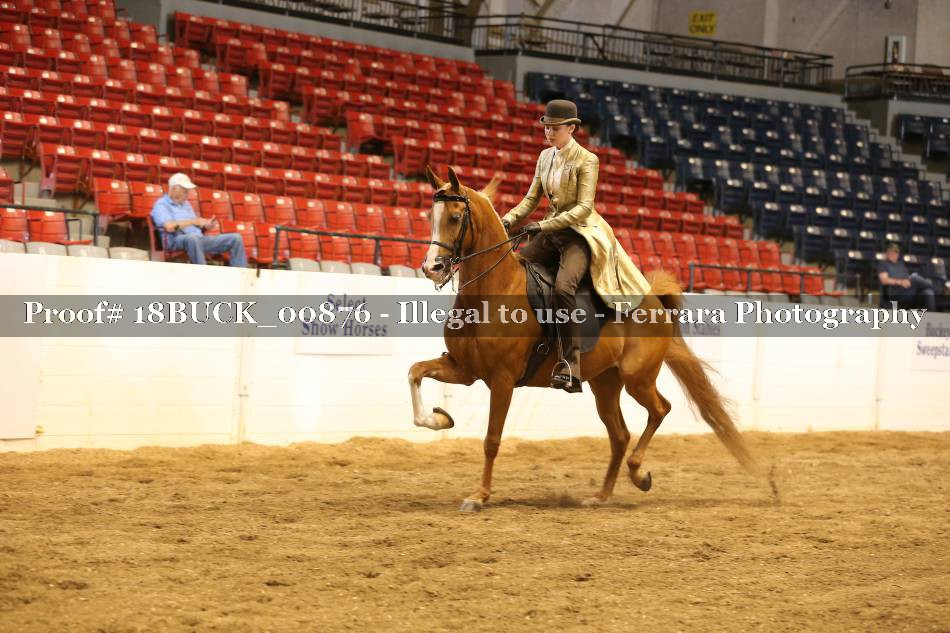 Proof 18BUCK_00876