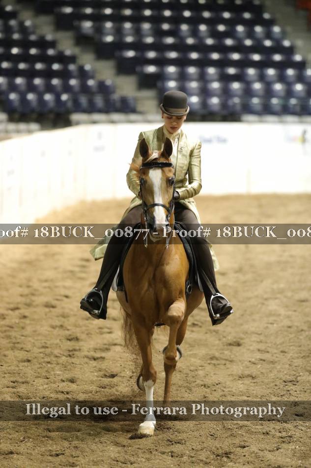 Proof 18BUCK_00877