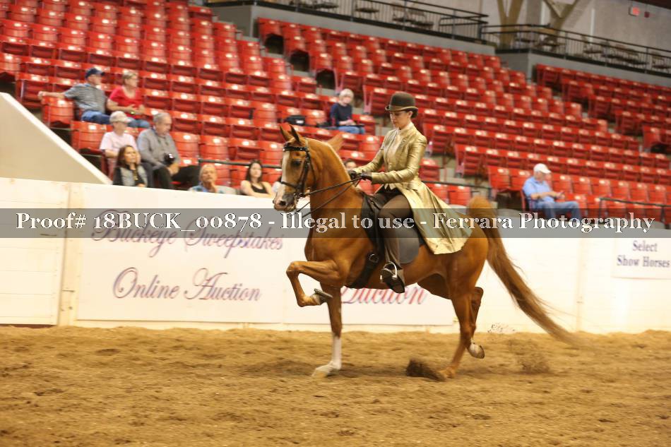 Proof 18BUCK_00878