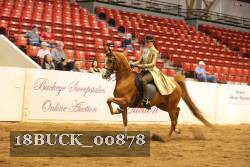 18BUCK_00878 proof