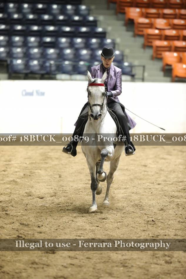 Proof 18BUCK_00879